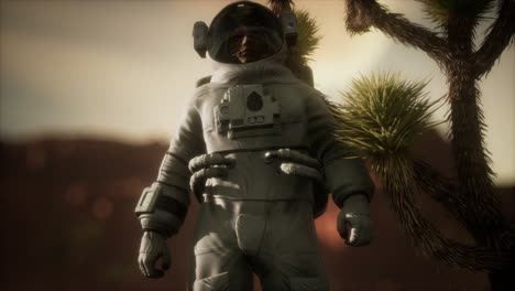 Astronaut-In-Der-Hochwüste-Von-Nevada